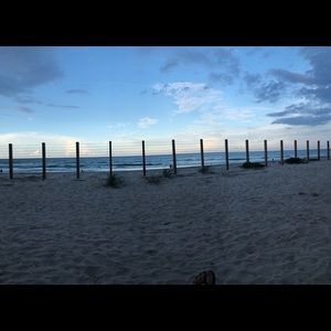 Meet your Posher, Bailey